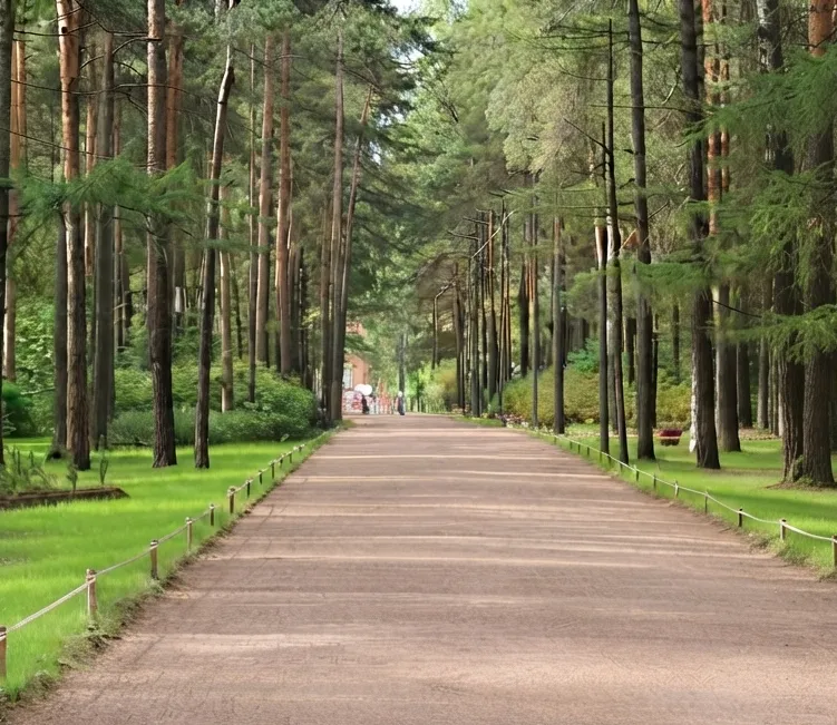 Прогулочная аллея в парке Сосновка